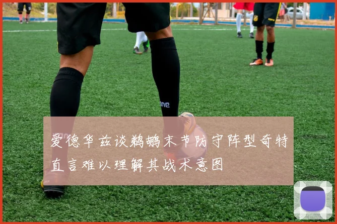 爱德华兹谈鹈鹕末节防守阵型奇特直言难以理解其战术意图