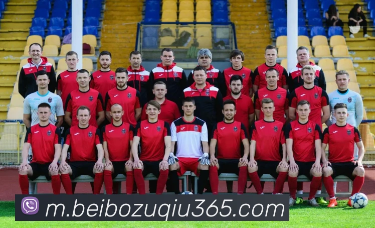 贝博体育平台生态图